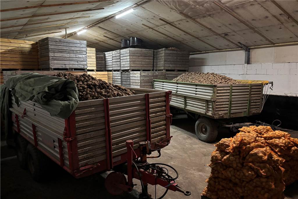 Rekordernte bei den Kartoffeln: Ein Besuch Landwirt Cornelius Hubbert Kartofelkisten, Kartoffelsäcke und zwei Anhänger mit Kartoffeln in der Scheune des Hofes Hubbert.
