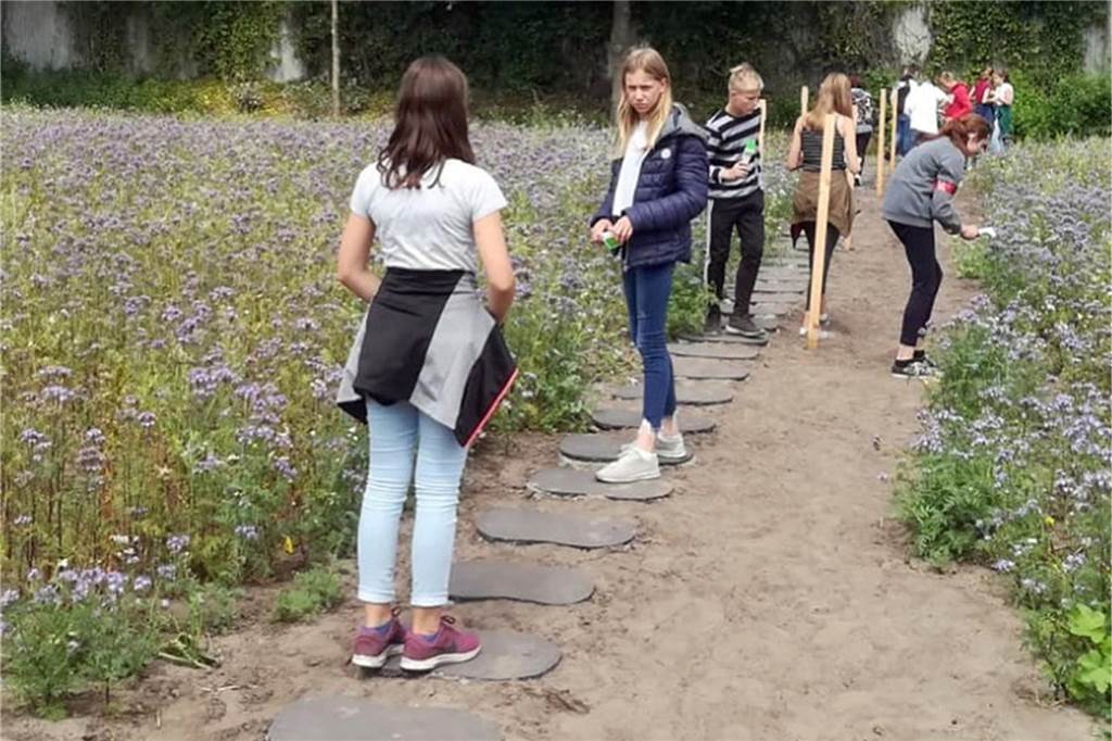 So clever kombiniert die Bürgerstiftung Blütenpracht, Naturschutz und ein paar Einkünfte In der letzten Schulwoche vor den Sommerferien unternahmen die Schüler der 7c der Kreuzschule einen Ausflug zur Blühwiese der Bürgerstiftung. Das Motto des Ausfluges: Insekten-Erkundungstag.