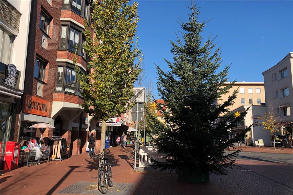 Lüner Weihnachtsbäume: Erst Weihnachts-Flair, dann Elefanten-Festmahl? In der Münsterstraße steht ein besonders großer Weihnachtsbaum.