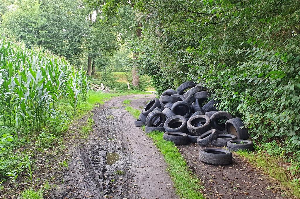 Zahl der wilden Müllkippen ist in Castrop-Rauxel dramatisch gestiegen In der Nähe des Bogenschieß-Platzes der Schützengilde Habinghorst am Kanal wurde dieser Reifenhaufen entdeckt.