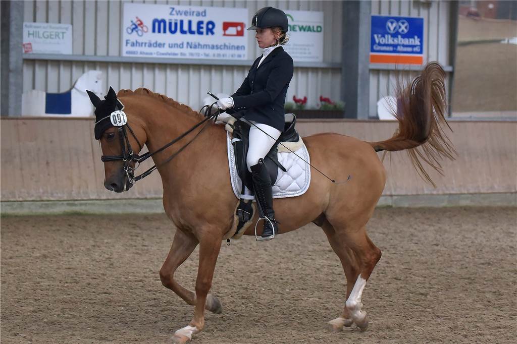 Disziplinierte Reiter beim Late-Entry des RV Ahaus – und es gab auch Erfolge In der schwierigsten Dressurprüfung des Tages gewann Hanna Mensing für den Reitverein Legden.