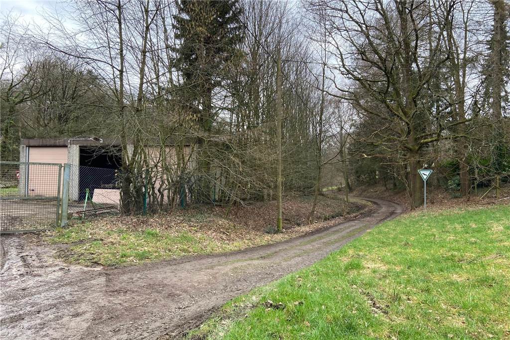 EDG fährt Privatweg nicht mehr an: Anwohner sind empört Ein Weg führt in den Wald.