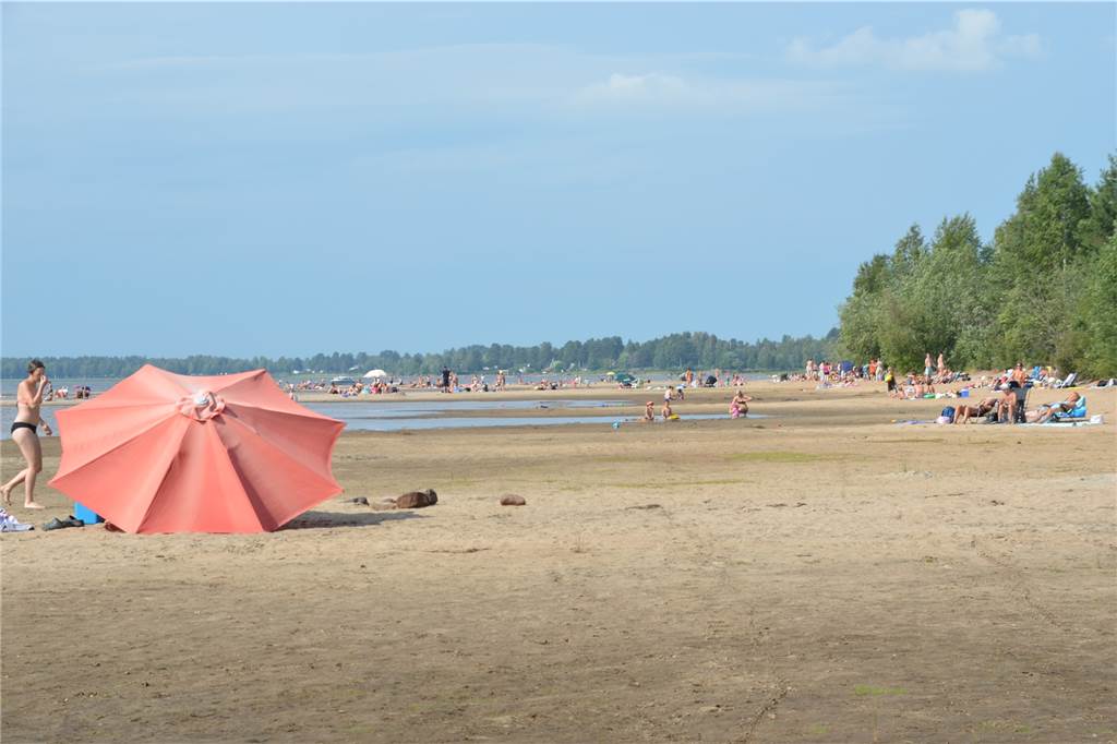 Haustausch in den Norden Schwedens: 30 Grad hinterm Polarkreis In der Sommerhitze lud der Strand des Lule älv zum Verweilen ein.