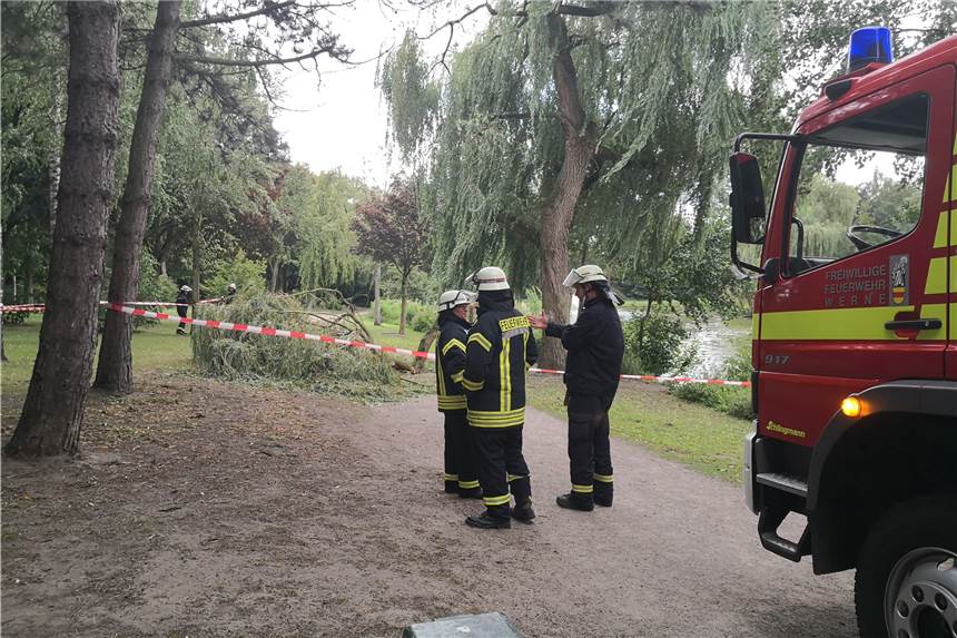 Riesiger Ast stürzt aus zehn Metern Höhe mitten in den Stadtpark In der trockenen Jahreszeit kommt es in den Wäldern vermehrt zum sogenannten "Sommerbruch". Den Bereich im Stadtpark sperrte die Feuerwehr am Samstag großräumig ab.