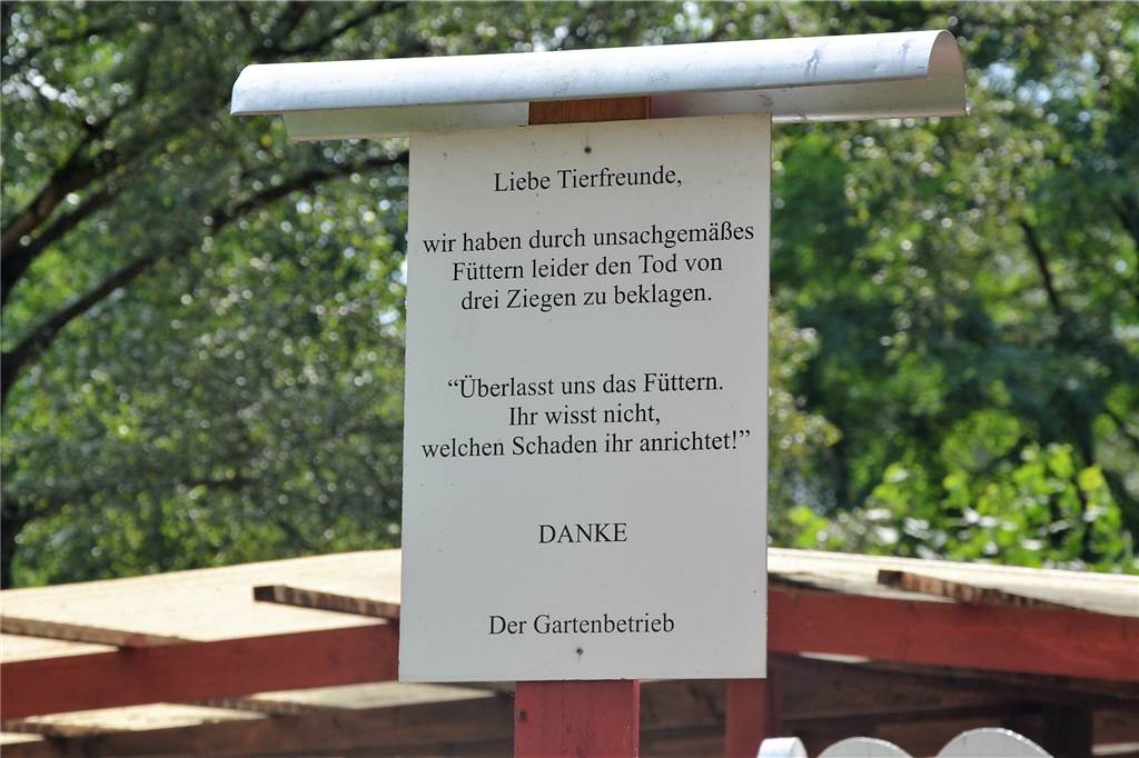 So süß ist der Knast - Wenn verurteilte Straftäter sich rührend um Ziegen und Co. kümmern In der Vergangenheit haben drei Ziegen unsachgemäßes Füttern nicht überlebt. Wenn Tiere sterben, geht das auch den Gefangenen nahe.