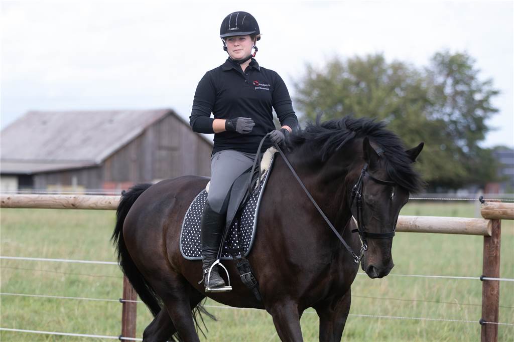 In der Working Equitation wird ab der Klasse S jeder Teilwettbewerb einhändig geritten.