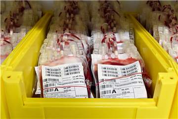 In Deutschland werden etwa 15.000 Blutspenden pro Tag benötigt.