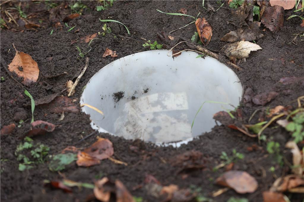Waldschule Cappenberg als Lebensretter für Kröten und Frösche In diese Eimer fallen Kröten und Frösche und werden dann zu den Laichplätzen getragen.