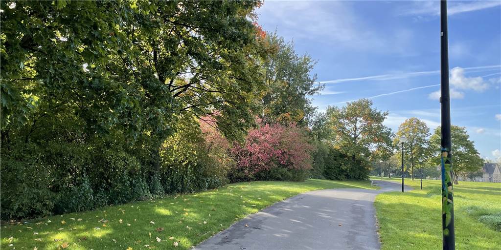 Vater misshandelt Jungen im Park – Polizei appelliert an die Nachbarschaft Hansemann-Park Oestrich