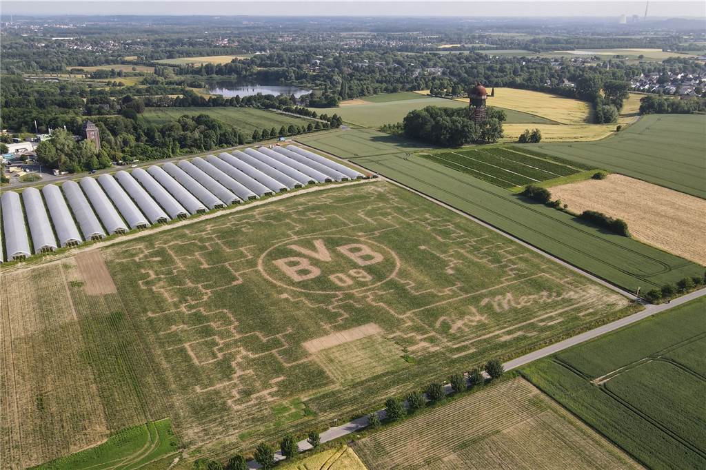 In diesem Jahr haben sich die Mertins dafür entschieden, das Logo des BVB in ihr Labyrinth einzuarbeiten.