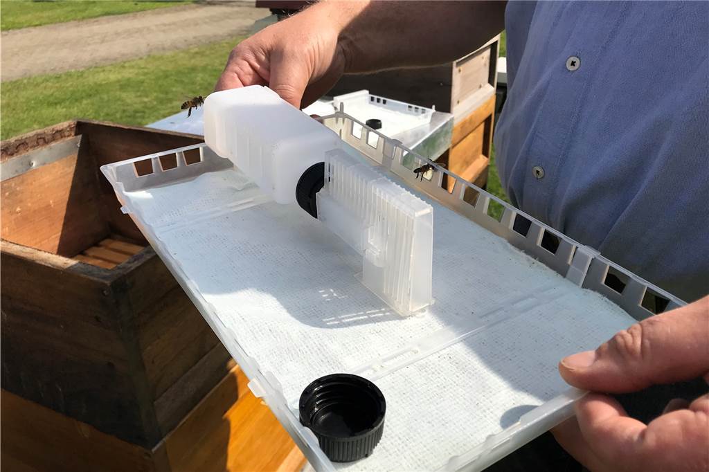Mit Video: Das Bienenjahr ist vorbei – Bienen werden eingewintert In diesen Verdunster kommt Ameisensäure, die über das Tuch verdunstet. Den Bienen schadet die Säure nicht, nur der Varroa-Milbe.