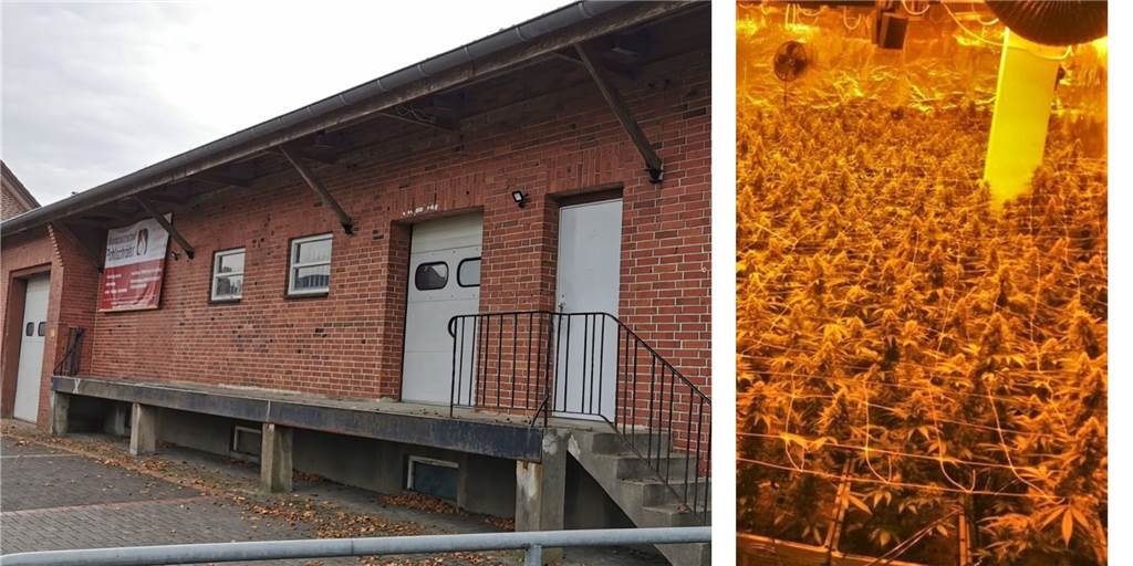 Drogenplantage in Ottenstein: Kurioses Mietverhältnis ebnet den Weg In dieser Ottensteiner Lagerhalle befand sich in den Kellerräumen die Drogenplantage.