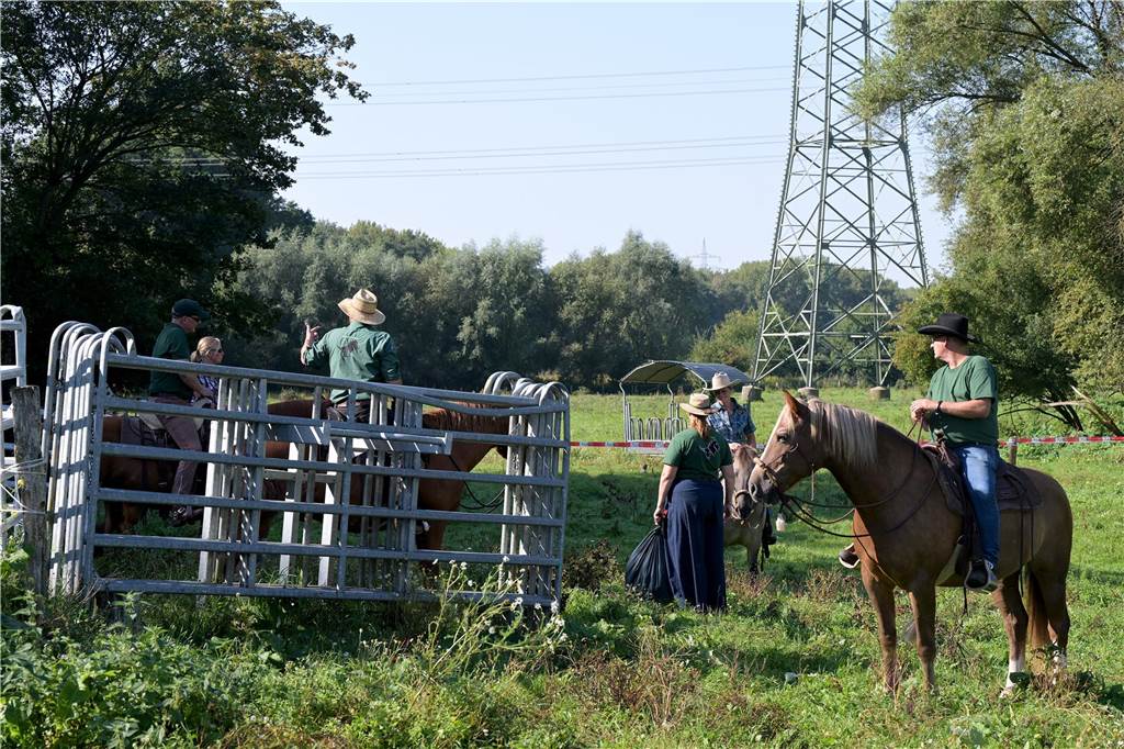 Rinderhirten bei der wilden Heckrind-Herde am Tibaum In dieses Gatter sollen die Heckrinder zur medizinischen Untersuchung.