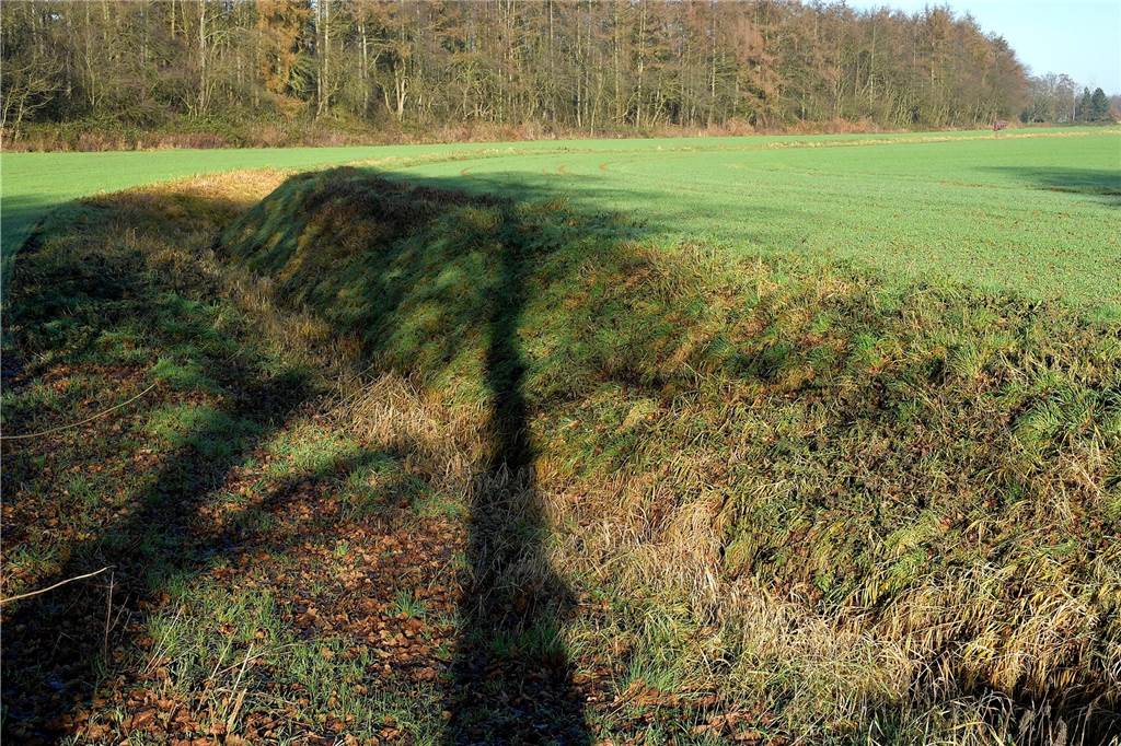 Klimaforum lädt zu Spaziergang: Welche Folgen hat Neue Stever für Wald? In direkter Nähe zur Waldkante verläuft ein Bach, der zur Neuen Stever ausgebaut werden soll.