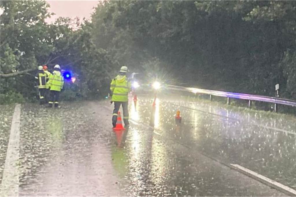 Schwere Unwetter ziehen über NRW: Stromausfall, Straßen überflutet, Bäume umgestürzt In Dorsten ist am Dienstag ein Baum auf eine Straße gestürzt.