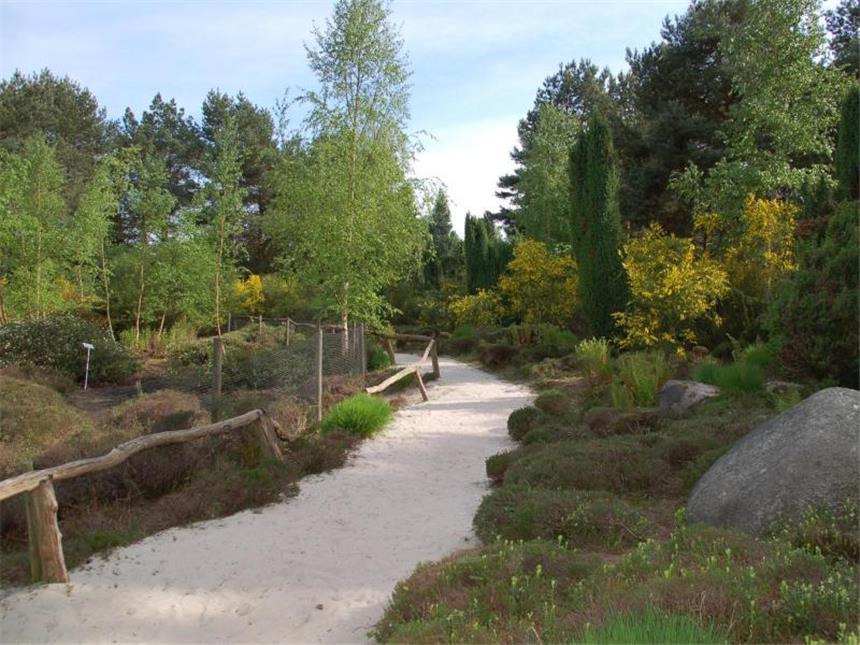 Mehr als Kohle und Stahl: Ruhrpott-Metropole Dortmund In Dortmund finden sich nicht nur alte Industrie und trostlose Wohngebiete: Der Rombergpark zum Beispiel ist eine der grünen Oasen der Ruhrpottstadt. Foto: Nora Wanzke