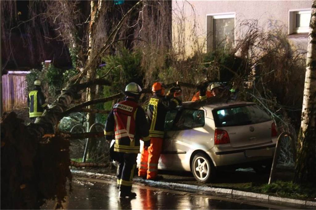 In Dortmund ist ein Baum auf ein Auto gestürzt.