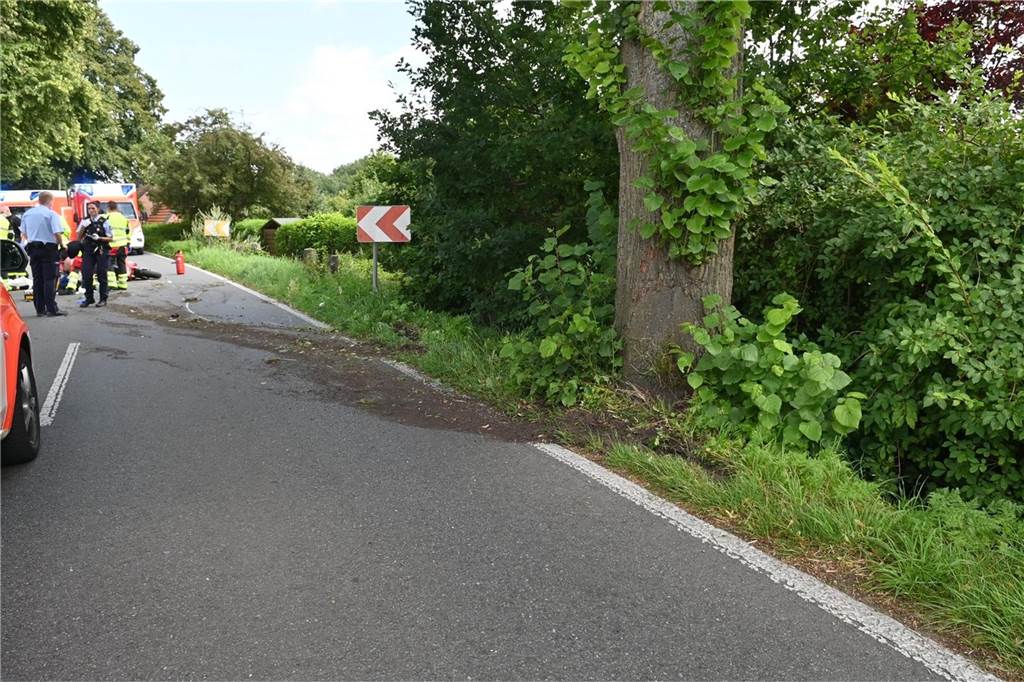 Dorstener Familienvater stirbt nach schwerem Motorradunfall in Haltern In einer leichten Kurve geriet der Dorstener gegen diesen Baum und verlor dann die Kontrolle über sein Krad.