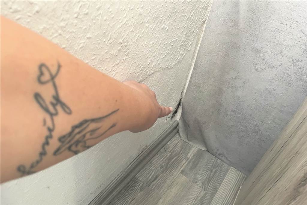 Familie Jansen sitzt bald auf der Straße – mit drei Kindern ins Hertener Obdachlosenasyl In einer Zimmerecke in der Wohnung von Familie Jansen hat sich schwarzer Schimmel gebildet. Auch das führt Familie Jansen als Grund für die Mietminderung an, die ihnen letztlich den Rausschmiss aus ihrer Wohnung eingebrockt hat.