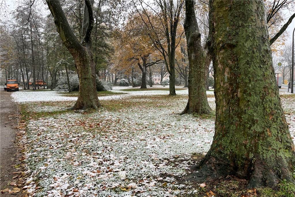 Weiterer Schneefall „in Richtung Donnerstag“ wahrscheinlicher Etwas Schnee liegt auf einer Wiese in Eving.
