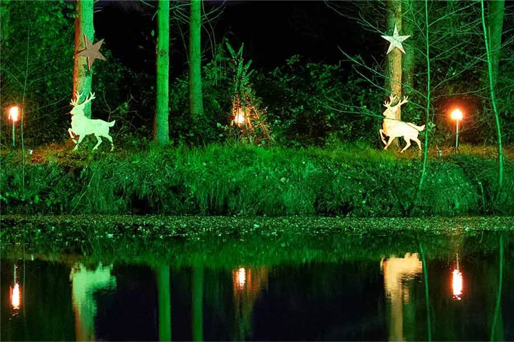 Marbecker Weihnachtsmarkt: Ein ganz besonderer Land–Weihnachtsmarkt Hirsch-Holzfiguren im grün illunimierten Wald.