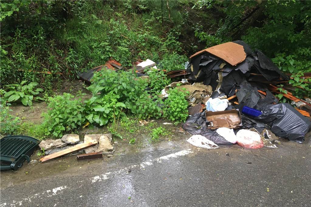Beschwerden ans Ordnungsamt: Das ärgert die Halterner am meisten Wilde Müllkippe am Straßenrand