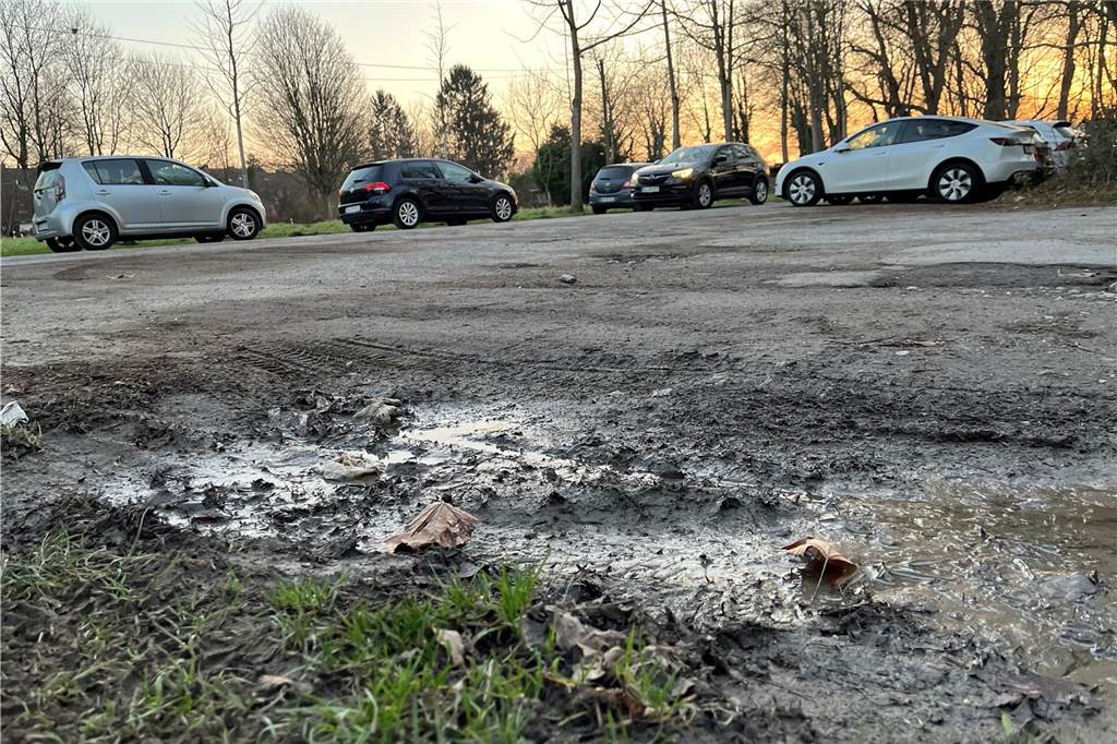 Dortmunder Löwen und Politik bestehen auf Parkplatzbau in Brackel In keinem guten Zustand ist der als Parkplatz genutzte Vorplatz des Sportgeländes am Brauksweg in Brackel.