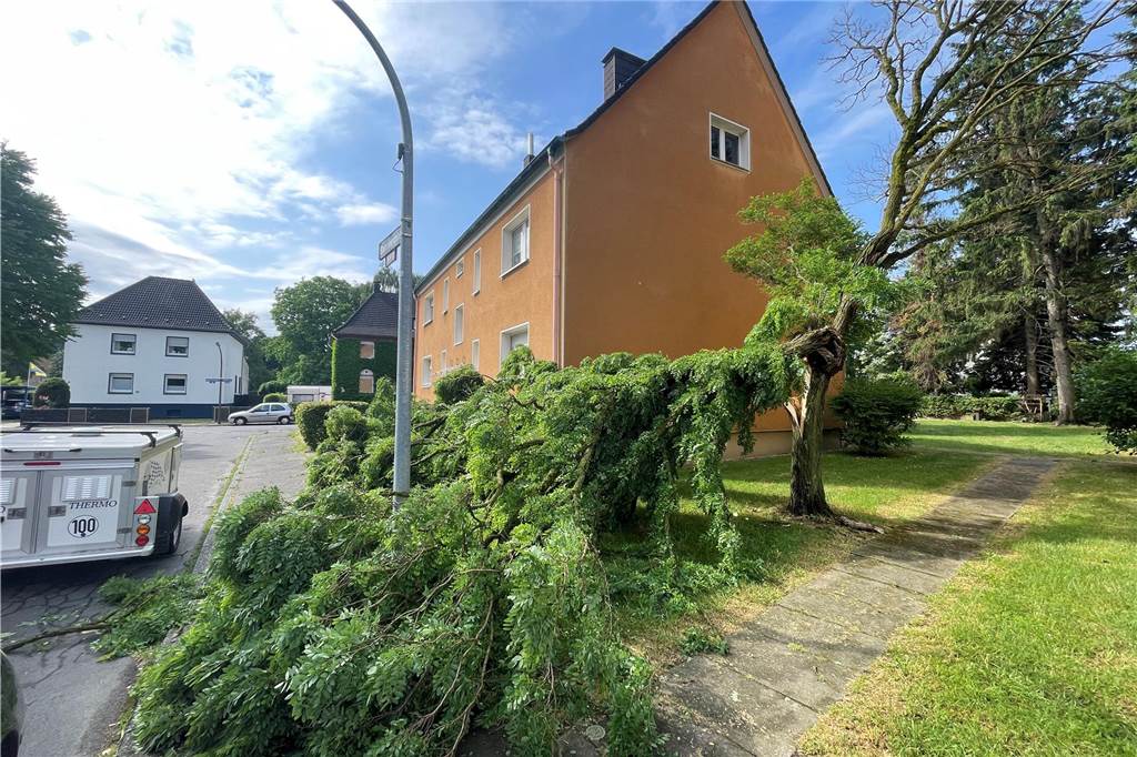 Wasser in Klinik, Bäume auf Gleisen: Gewitter richtet in Dortmund große Schäden an In Kirchderne ist dieser Baum beim Unwetter beschädigt worden.