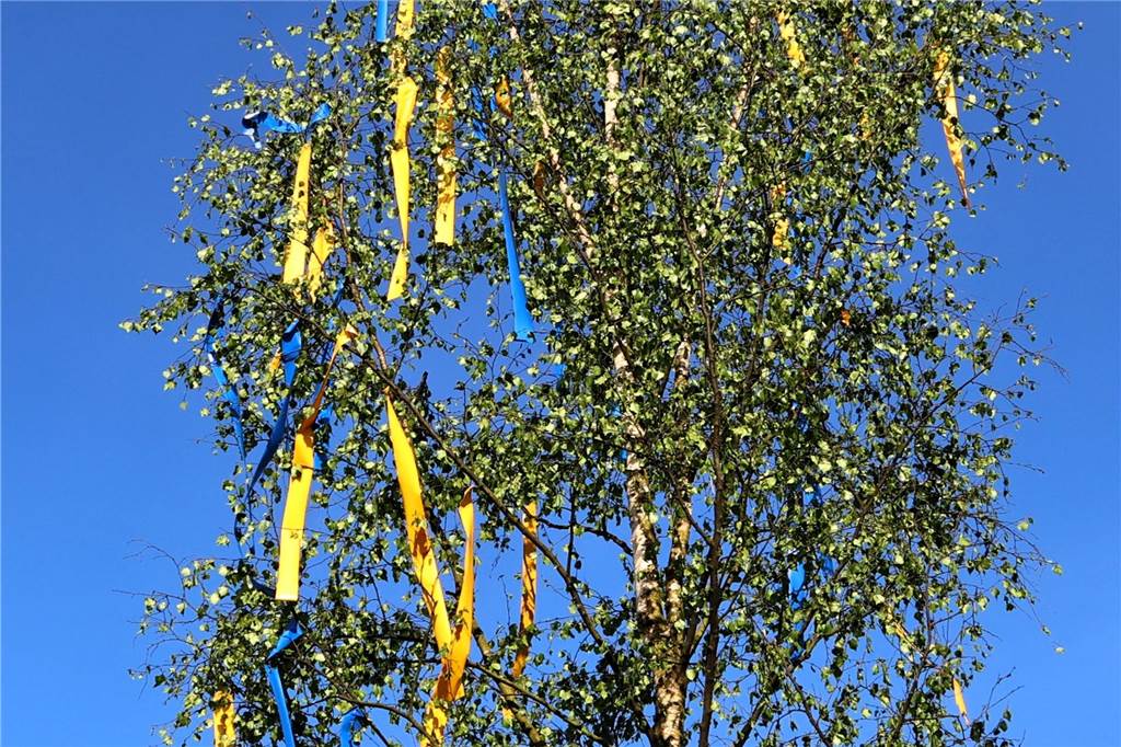 In Lippramsdorf wurde am Mittwochabend (30. April 2025) vor dem Tanz in den Mai der traditionelle Maibaum auf dem Dorfplatz aufgestellt.