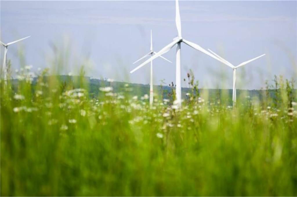 Windräder in direkter Nachbarschaft: Frank Krömann fürchtet um seine Idylle In Nordkirchen sollen an mehreren Orten Windräder gebaut werden. Der Standort an der Alten Ascheberger Straße ist einer von sieben.