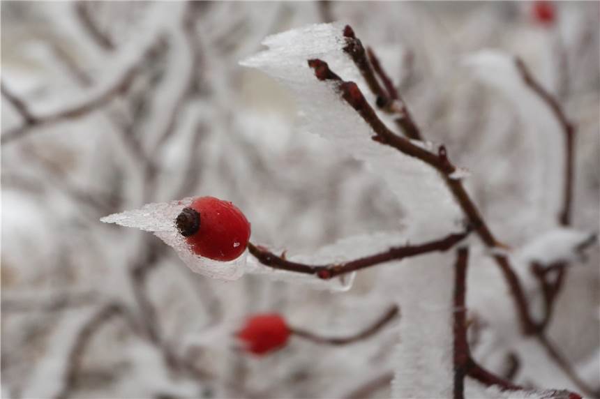 Unwetterwarnung für Lünen: Starker Schneefall und Schneeverwehungen In NRW droht an diesem Wochenende ein Wintereindruck.