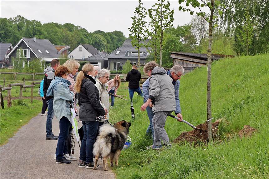 Vorstoß für den Klimaschutz in Selm: CDU möchte Bürger stärker einbinden In Olfen hat es im Frühjahr 2019 eine Baumpflanzaktion gegeben. Ähnliches stellt sich die CDU-Fraktion auch in Selm vor.