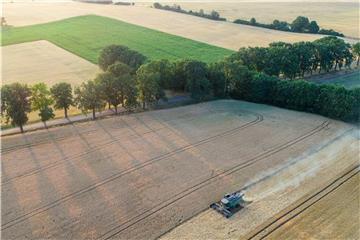 In Ostdeutschland bis hin nach Nordbayern und in Norddeutschland hat die Ernte schon begonnen. Foto: Patrick Pleul