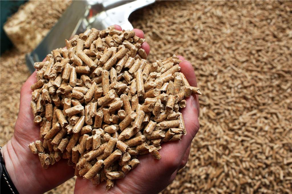 Ein Mann hält Holzpellets in den Händen.