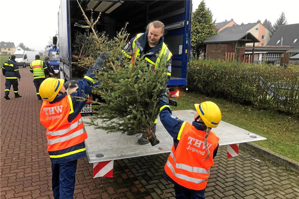 Wohin mit dem Weihnachtsbaum? Alle Infos zur Sammelaktion am Samstag In Pöppinghausen werden in einem normalen Jahr rund 100 Weihnachtsbäume eingesammelt. Das THW ist hier unterwegs.