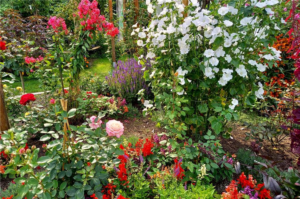 Der Garten zum Austoben und Entspannen: „Hier finden wir Ausgleich“ In Reineckes Garten hat alles seinen Platz und ist genau auf einander abgestimmt. „Ich könnte zu jeder Pflanze eine Geschichte erzählen", sagt Ralph Reinecke.