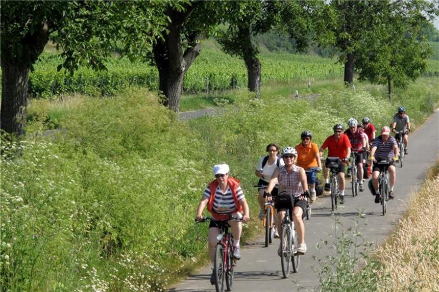 Radwanderer bekommen neue Wege und Themen In Rheinland-Pfalz wird das Radwegenetz weiter ausgebaut. Geplant ist etwa der Lückenschluss an der Mosel zwischen Alf und Zell. Foto: Roland Holschneider