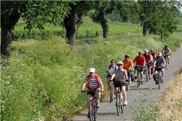In Rheinland-Pfalz wird das Radwegenetz weiter ausgebaut. Geplant ist etwa der Lückenschluss an der Mosel zwischen Alf und Zell. Foto: Roland Holschneider