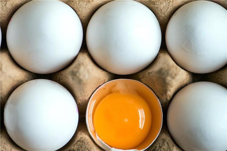 In sechs Bundesländern sind insgesamt 73.000 durch Fipronil belastete Eier in den Verkauf gelangt. Gesundheitsgefahr für die Verbraucher gibt es nach Einschätzung der Behörden derzeit nicht. Foto: