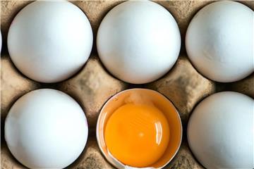 In sechs Bundesländern sind insgesamt 73.000 durch Fipronil belastete Eier in den Verkauf gelangt. Gesundheitsgefahr für die Verbraucher gibt es nach Einschätzung der Behörden derzeit nicht. Foto:
