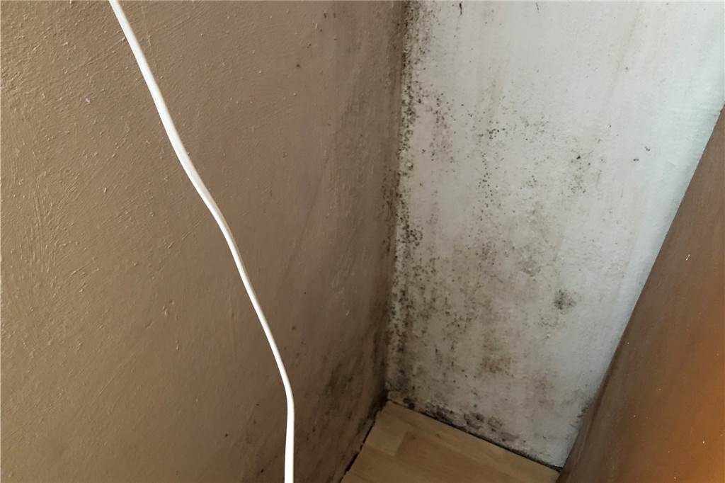 Tagelang ohne Heizung: Asselner Mieter ärgert sich über Firma In seinem Schlafzimmer komme es zu Schimmelbildung, sagt Klaus Vehring, um die sich niemand kümmere