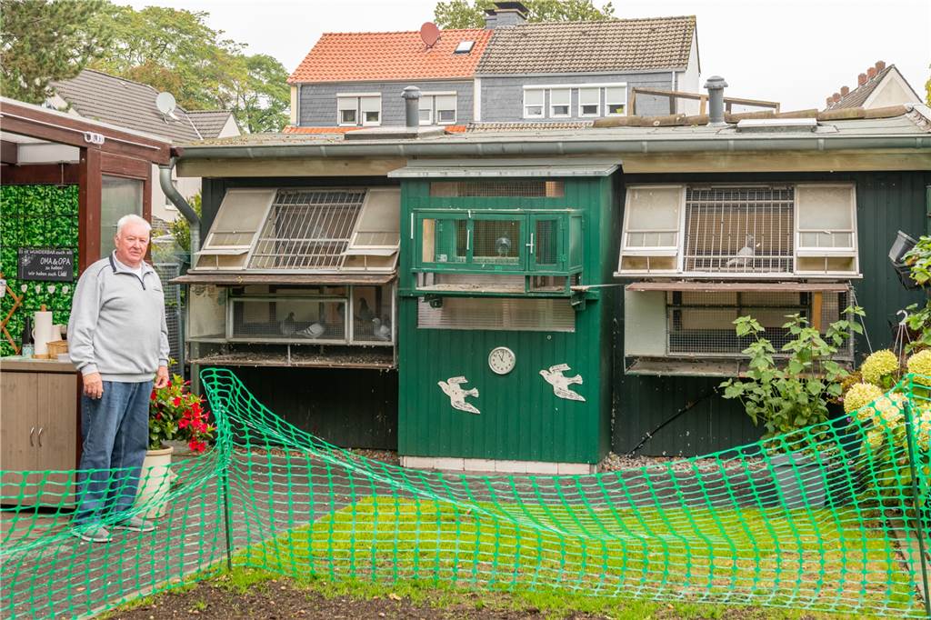 75-jähriger Lüner wird Meister bei der „Jung-Meisterschaft“ In seinem Taubenschlag finden rund 100 tauben derzeit Platz.