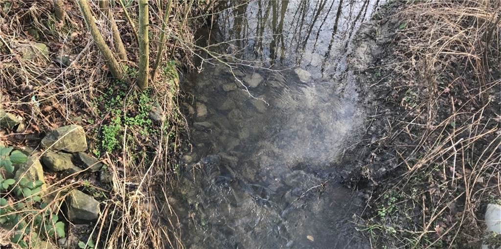 Aufregung über Selmer Landwirt - Wasserentnahme aus Funne in Ordnung In Selm sorgt es für Aufsehen, dass ein Landwirt regelmäßig Wasser aus Fließgewässern pumpt.