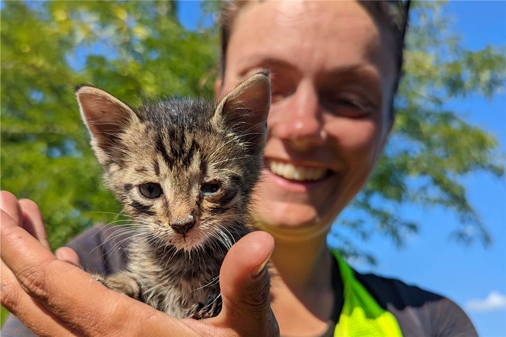 Was Marielle und Henning in neun Monaten Fahrrad-Reise gelernt haben In Serbien haben Marielle Oberkandler und Henning Vengels ein Katzenbaby gefunden.