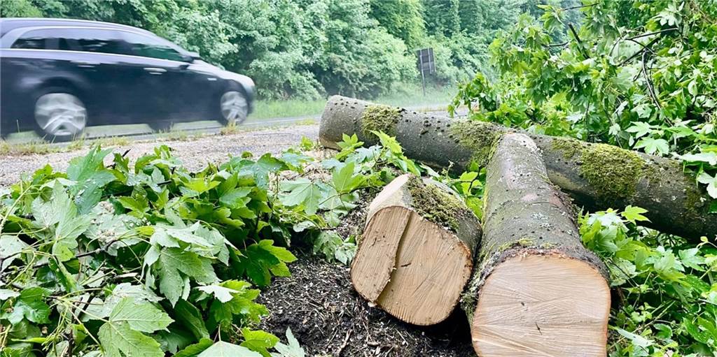 Unwetter in Dortmund: Feuerwehr pumpte Keller leer und räumte Straße frei Zersägte Überreste eines Baumes am Rande der Hengsteystraße im Dortmunder Süden. Ein Auto fährt dahinter unscharf vorbei.