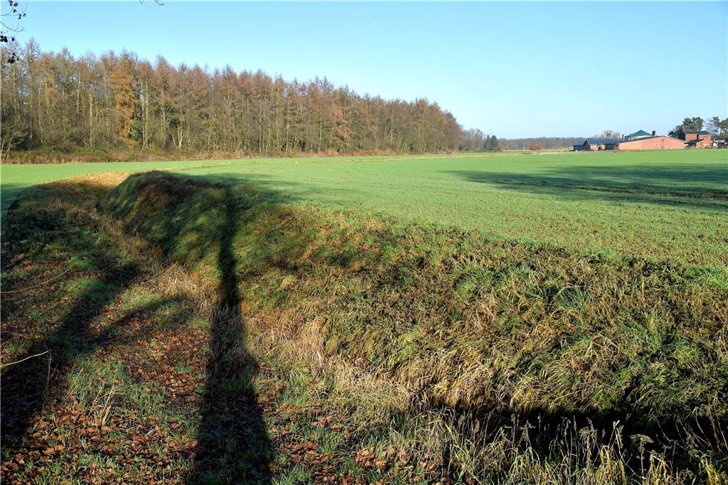 Eine Wildnis vor der Haustür - Olfen hat große Pläne für Waldgebiet In unmittelbarer Nähe zum Wald verläuft ein schmaler Bach. Nach einem Ausbau (inklusive Radweg) soll hier die Neue Stever entstehen.
