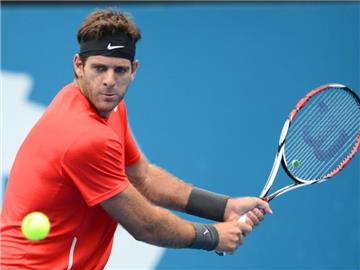 In zwei Sätzen hat sich Juan Martin del Potro in Sydney gegen Bernard Tomic den Sieg im Finale geholt. Dean Lewins Foto: Dean Lewins