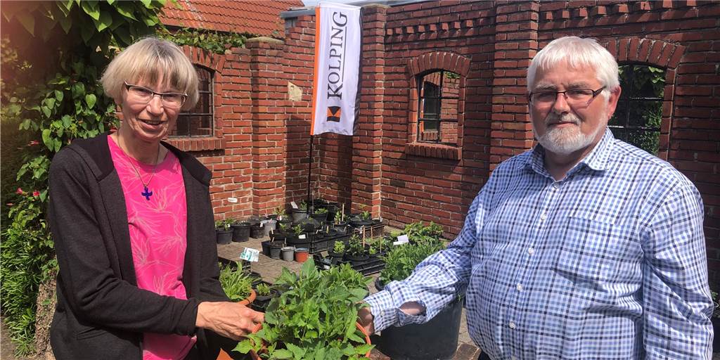 Im Garten der Familie Baumeister wachsen Dahlien für Namibia Ingeborg und Gerd Baumeister zeigen nur eine kleine Auswahl ihrer Dahlien-Kollektion. Die Knollen hat Gerd Baumeister überwintert und dann ausgepflanzt.