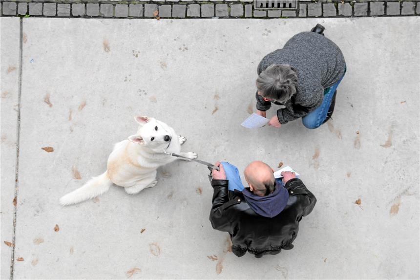 Verein Dodog hilft Hunden von Obdachlosen Ingo, Barbara Seibert und Yuki. Yuki ist japanisch und heißt übersetzt Schneeflocke.