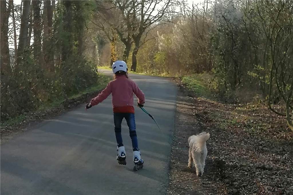 Corona-Krise macht Inlineskating (wieder) zur Trendsportart Inlinertour mit dem Hund: Bei der Familie Herbstmann ist das aktuell die gängige Praxis.